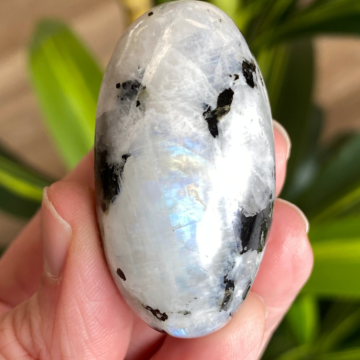 Moonstone Palm stone