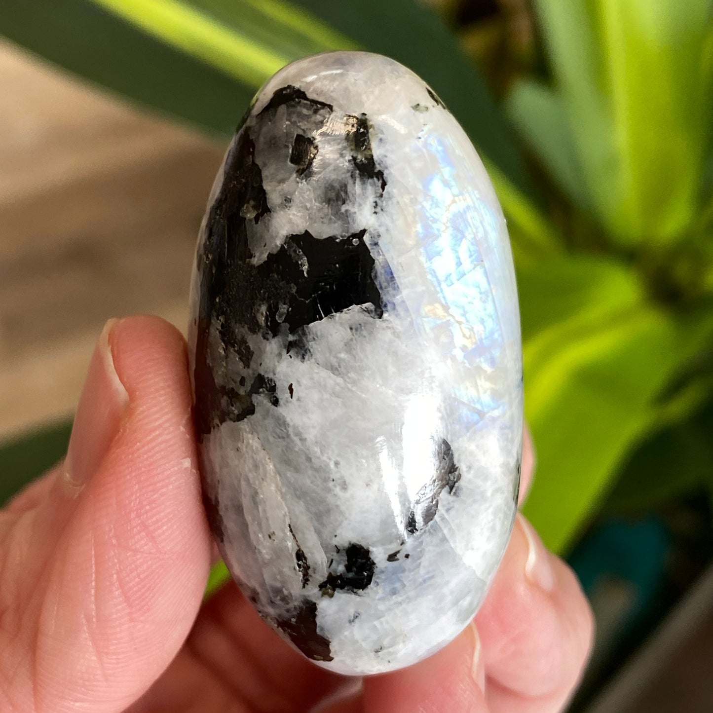 Moonstone Palm stone