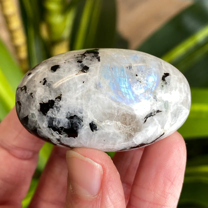 Moonstone Palm stone