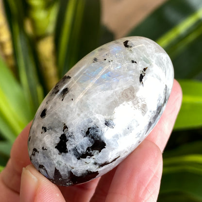 Moonstone Palm stone