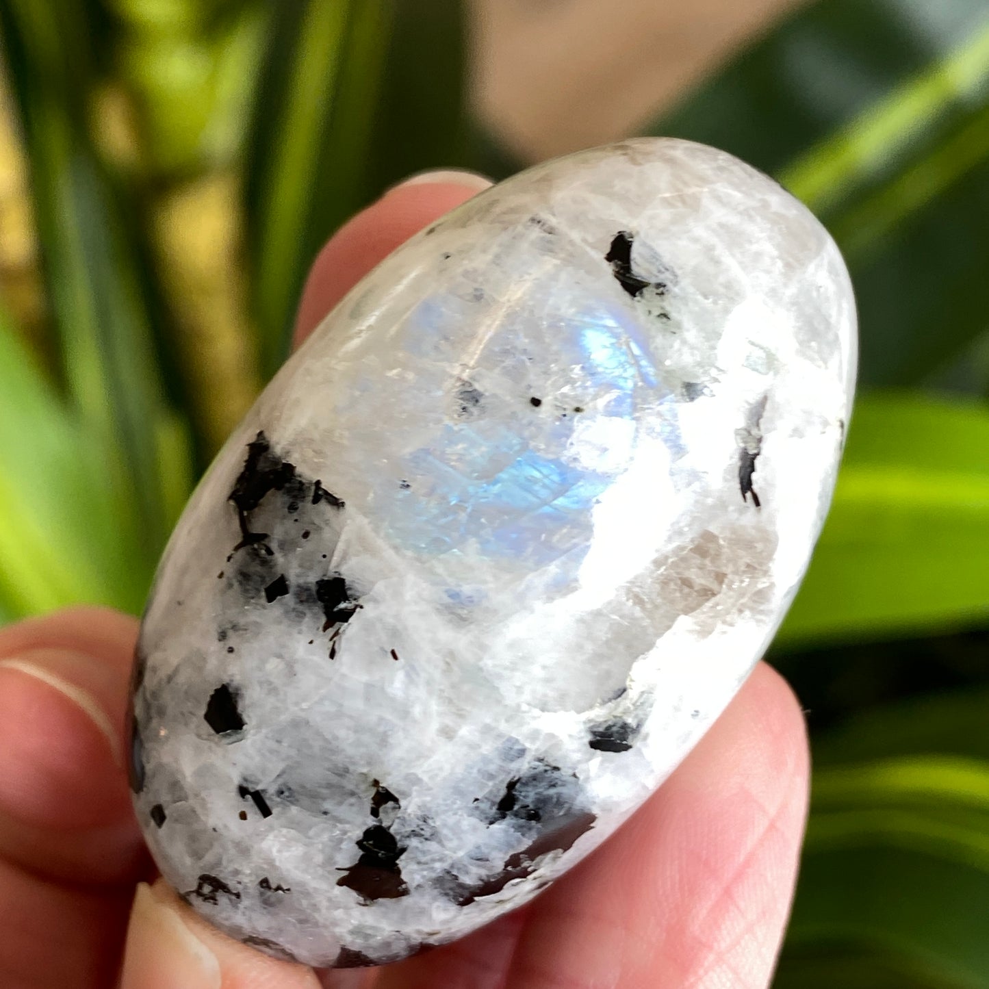 Moonstone Palm stone