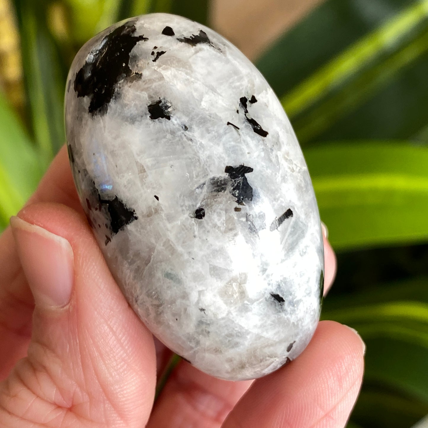 Moonstone Palm stone