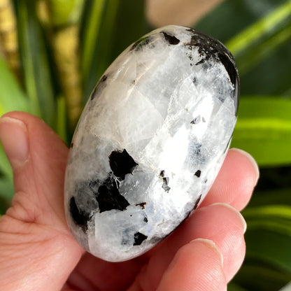 Moonstone Palm stone
