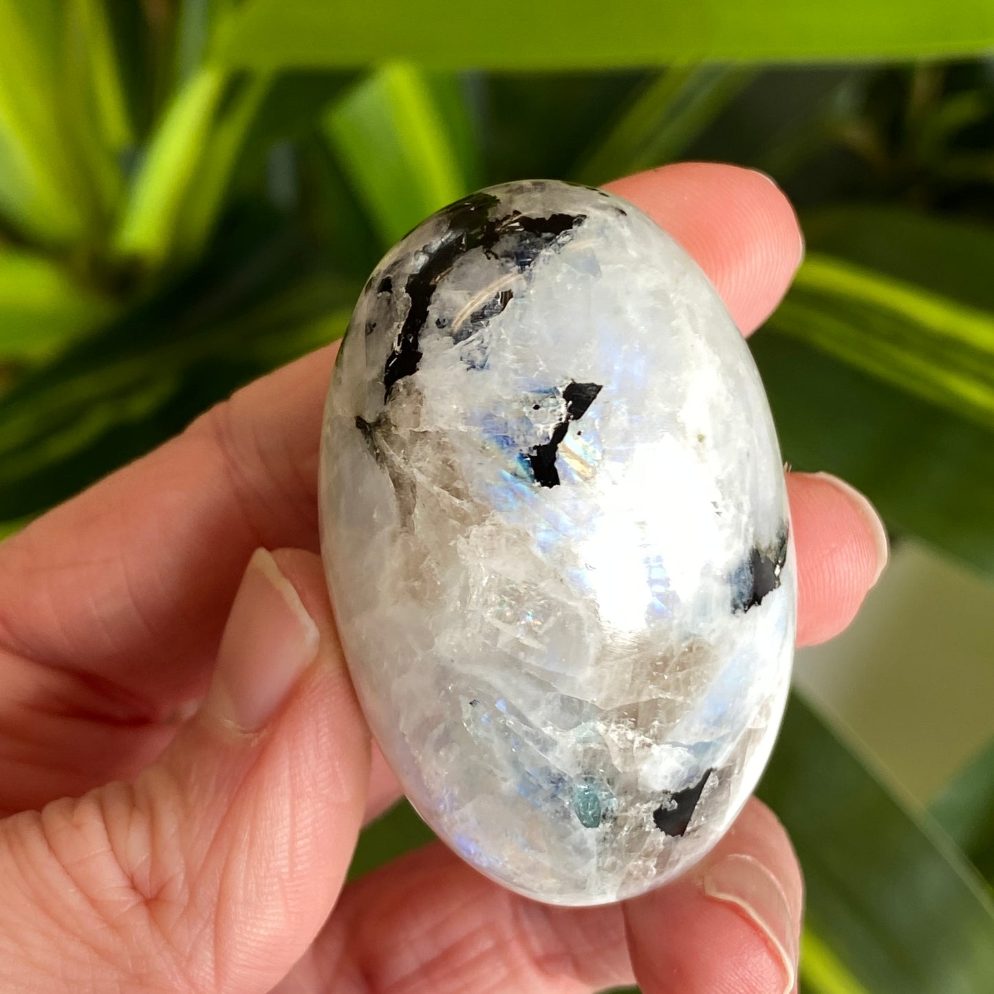 Moonstone Palm stone