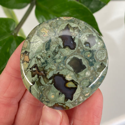 Rainforest Jasper Palm Stone