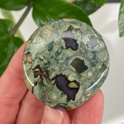 Rainforest Jasper Palm Stone