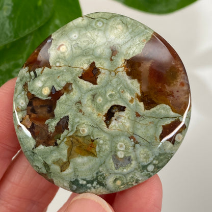 Rainforest Jasper Palm Stone