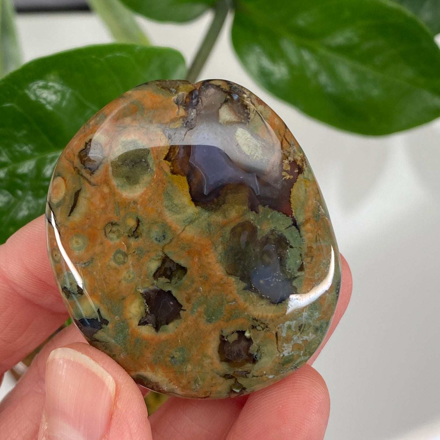 Rainforest Jasper Palm Stone