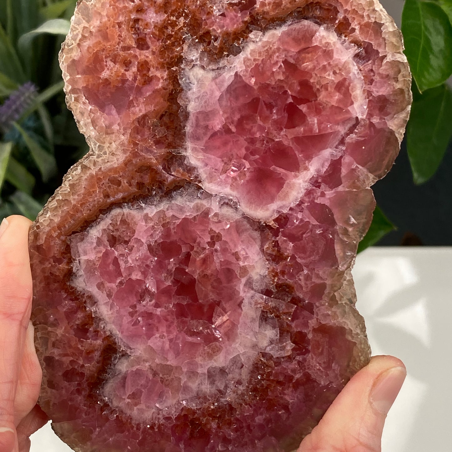 Rare Cobaltoan Calcite Slab