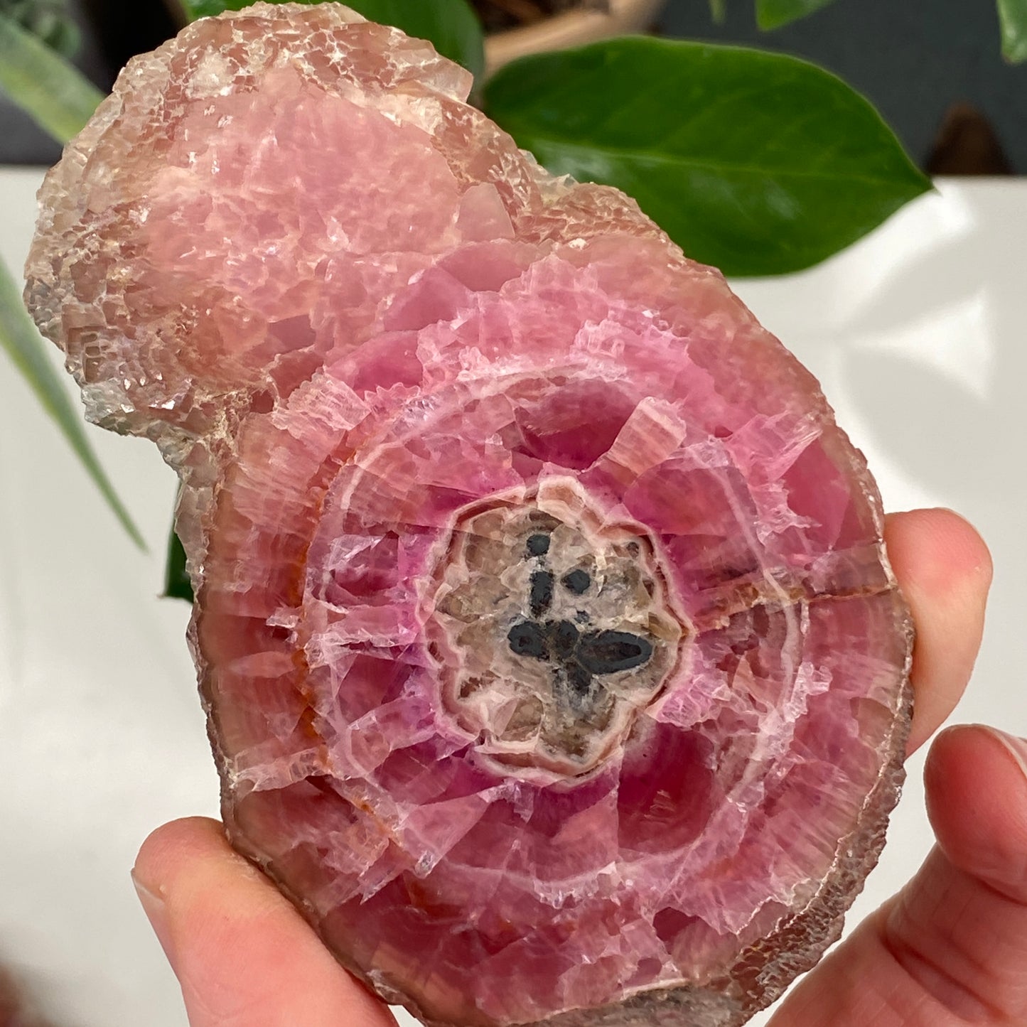 Rare Cobaltoan Calcite Slab