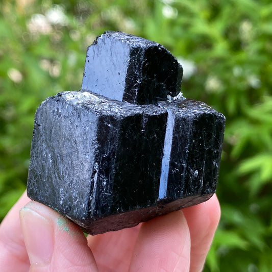 Black Tourmaline, Terminated