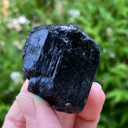 Black Tourmaline, Terminated