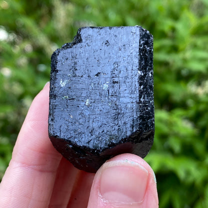 Black Tourmaline, Terminated
