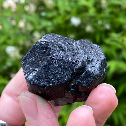 Black Tourmaline, Terminated