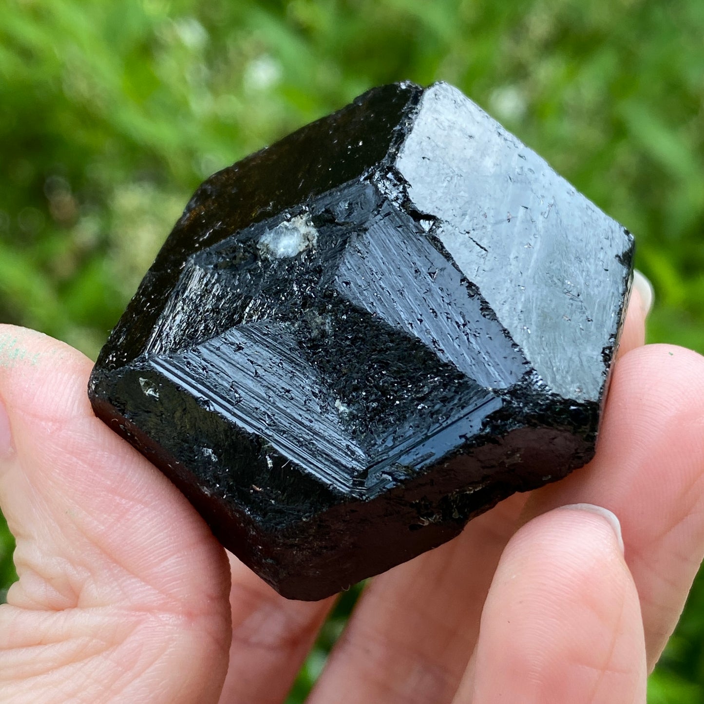 Black Tourmaline, Terminated