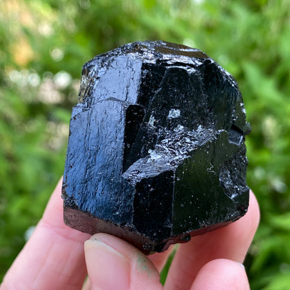 Black Tourmaline, Terminated