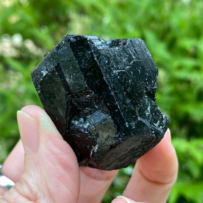 Black Tourmaline, Terminated