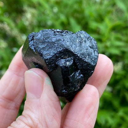 Black Tourmaline, Terminated