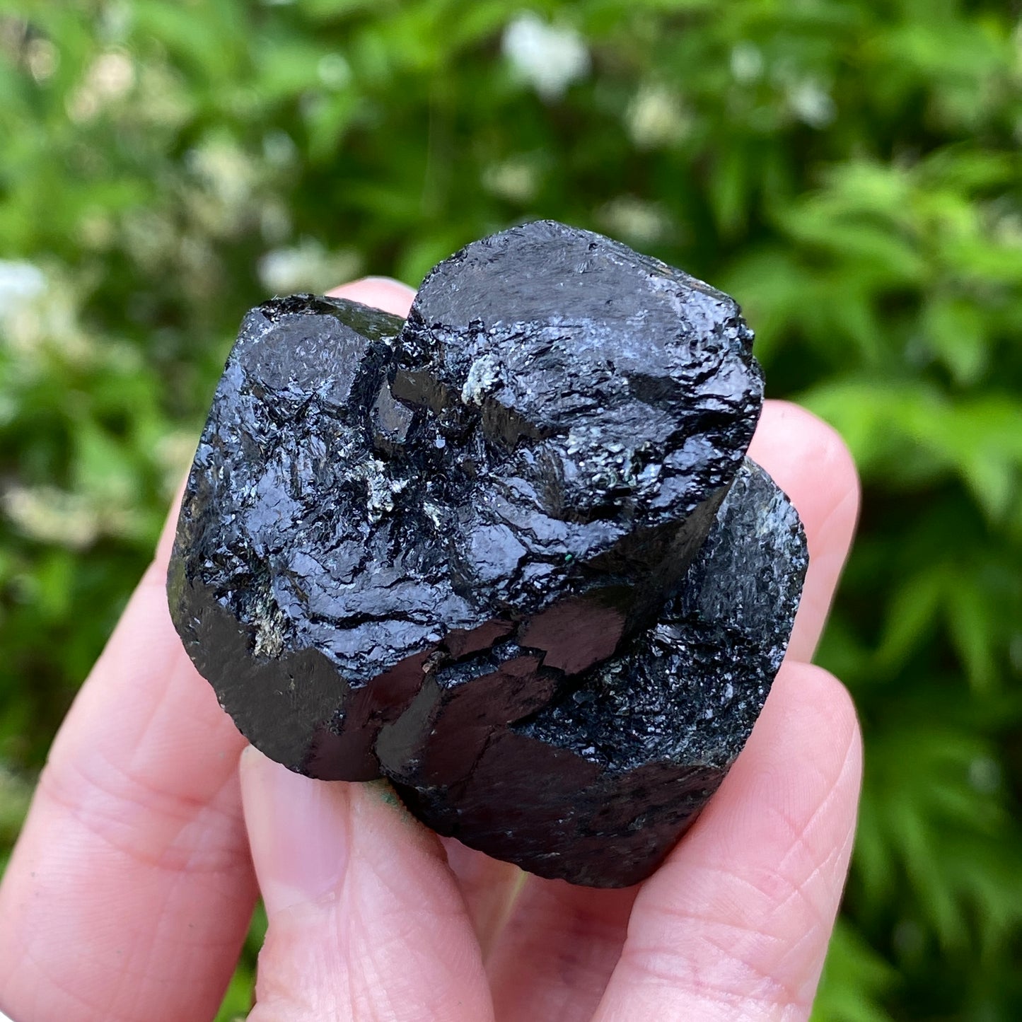 Black Tourmaline, Terminated