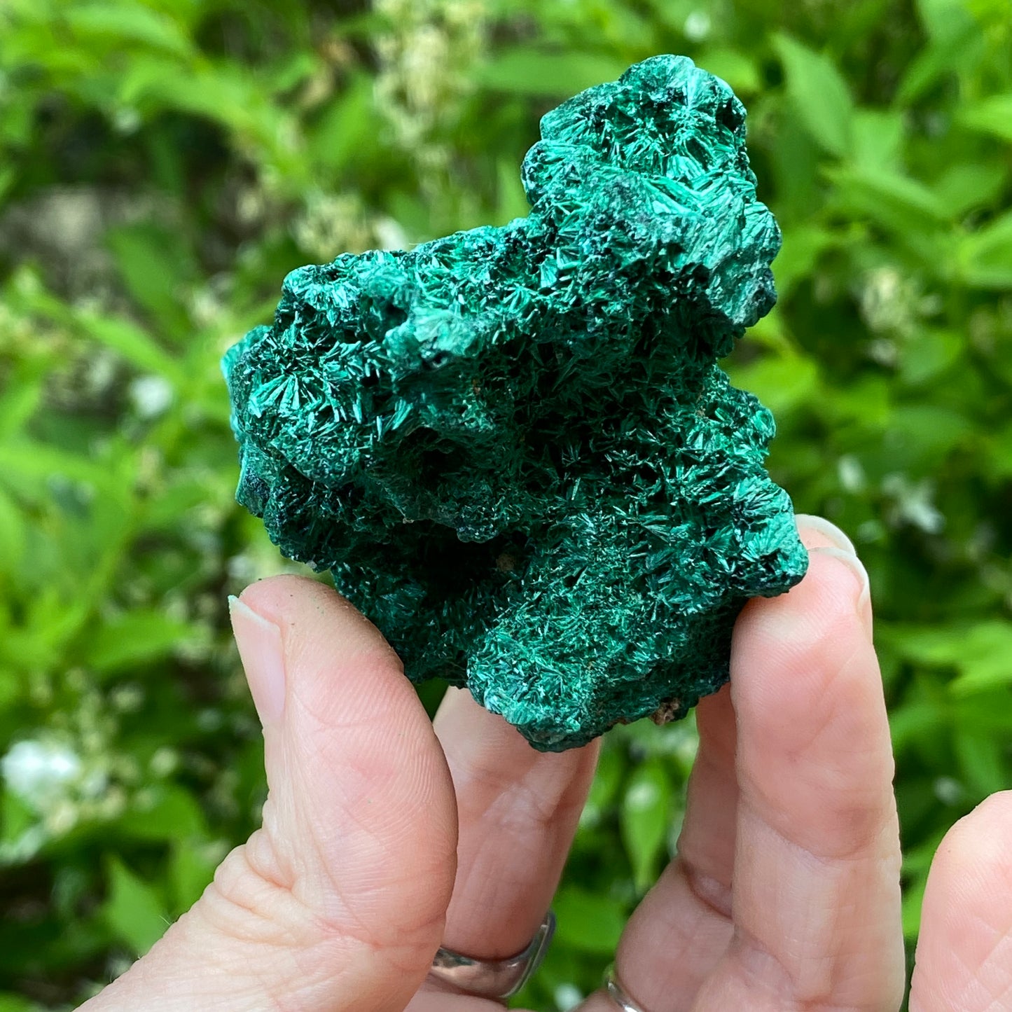 Malachite Specimen