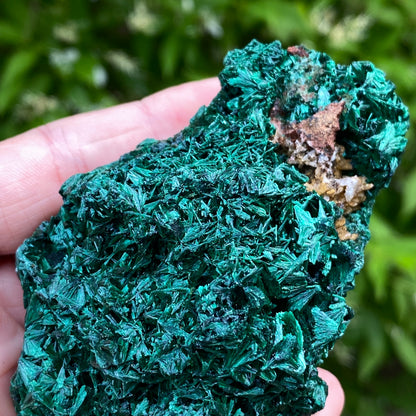 Malachite Specimen