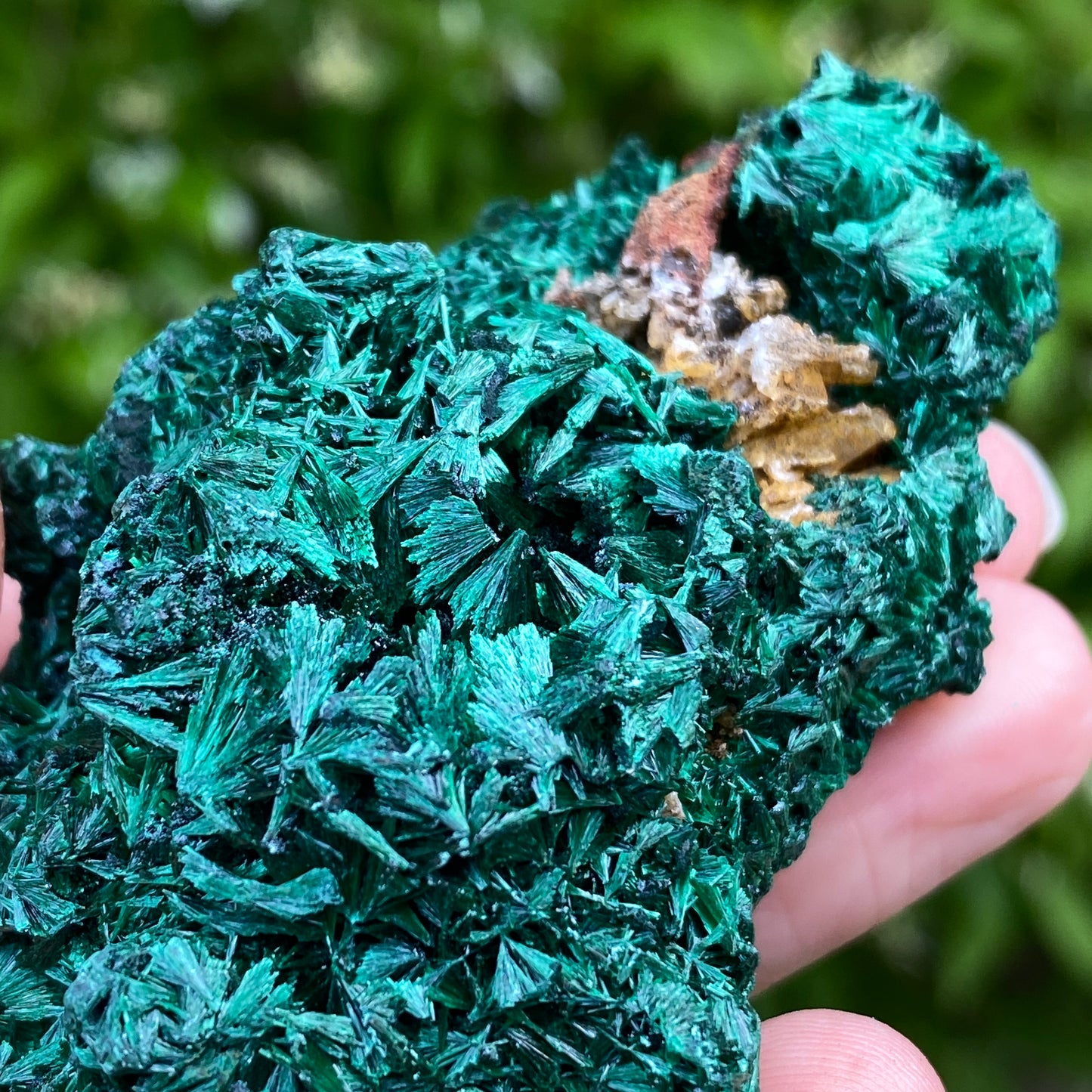 Malachite Specimen