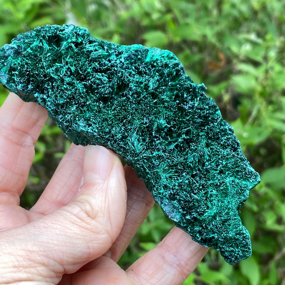 Fiberous Malachite