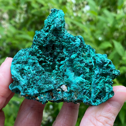 Malachite Specimen