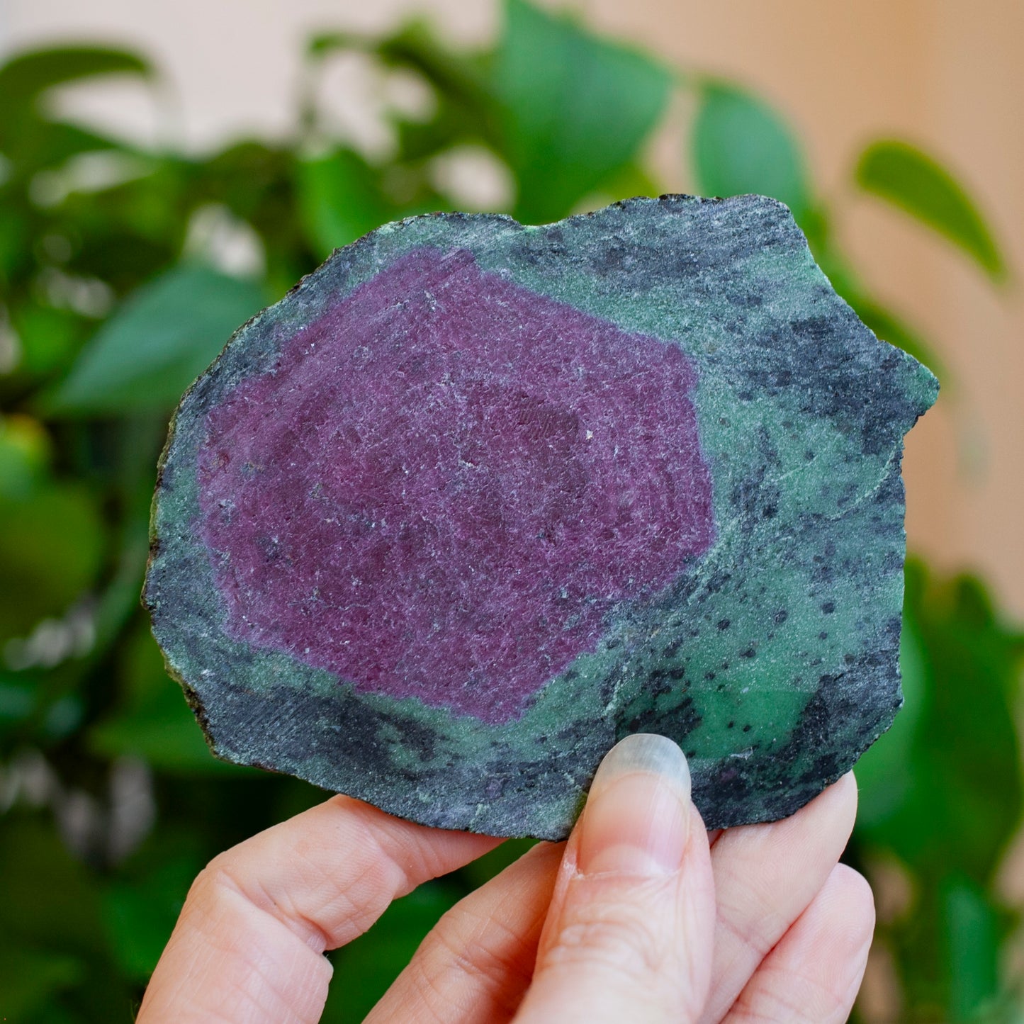 Ruby Zoisite Slab with Complete Ruby