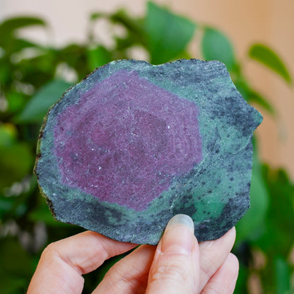 Ruby Zoisite Slab with Complete Ruby