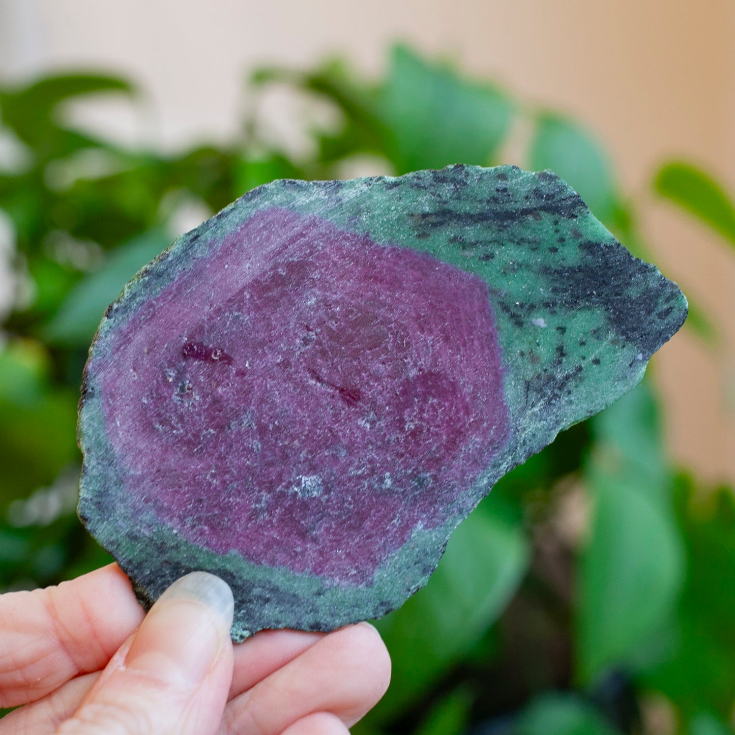 Ruby Zoisite Slab with Complete Ruby