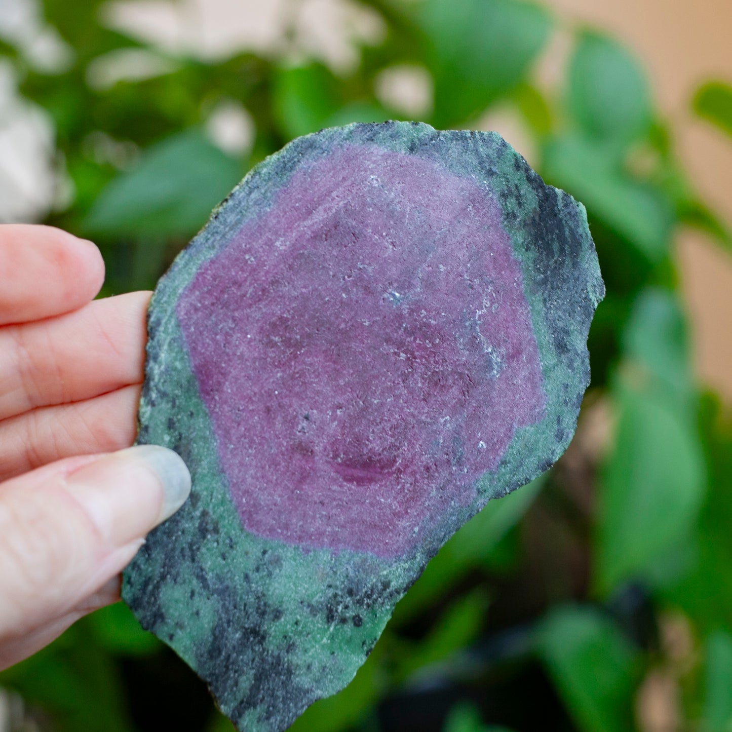 Ruby Zoisite Slab with Complete Ruby