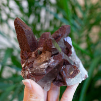 Red Quartz Cluster, Morocco