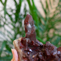 Red Quartz Cluster, Morocco