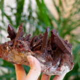 Red Quartz Cluster, Morocco