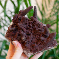Red Quartz Cluster, Morocco