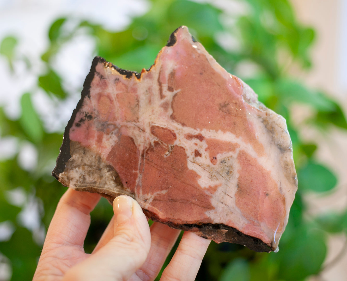 Rhodonite Slab from Massachusetts