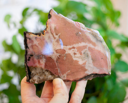 Rhodonite Slab from Massachusetts