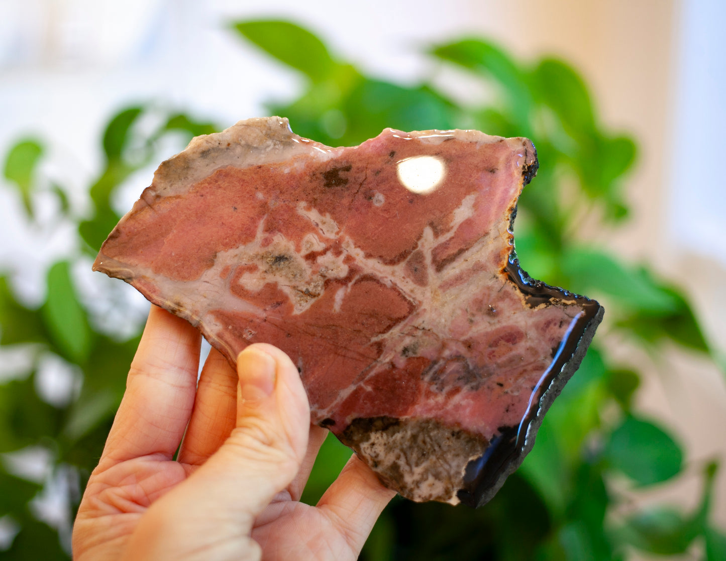 Rhodonite Slab from Massachusetts