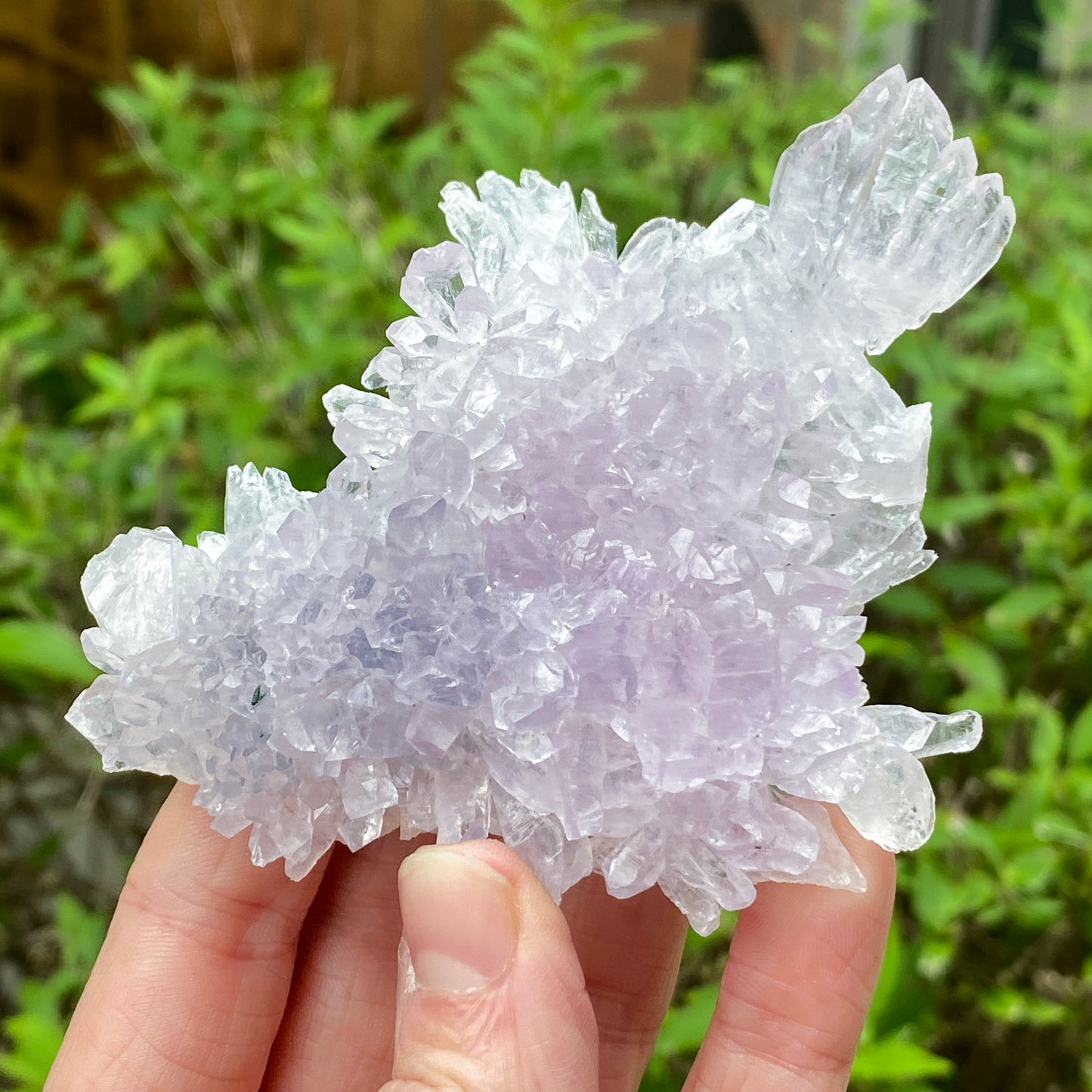 Rose Amethyst, Rio do Sol