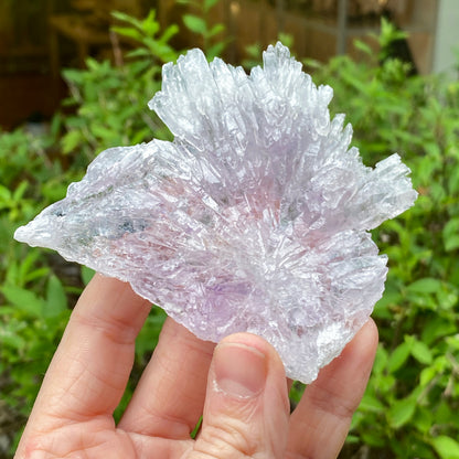 Rose Amethyst, Rio do Sol