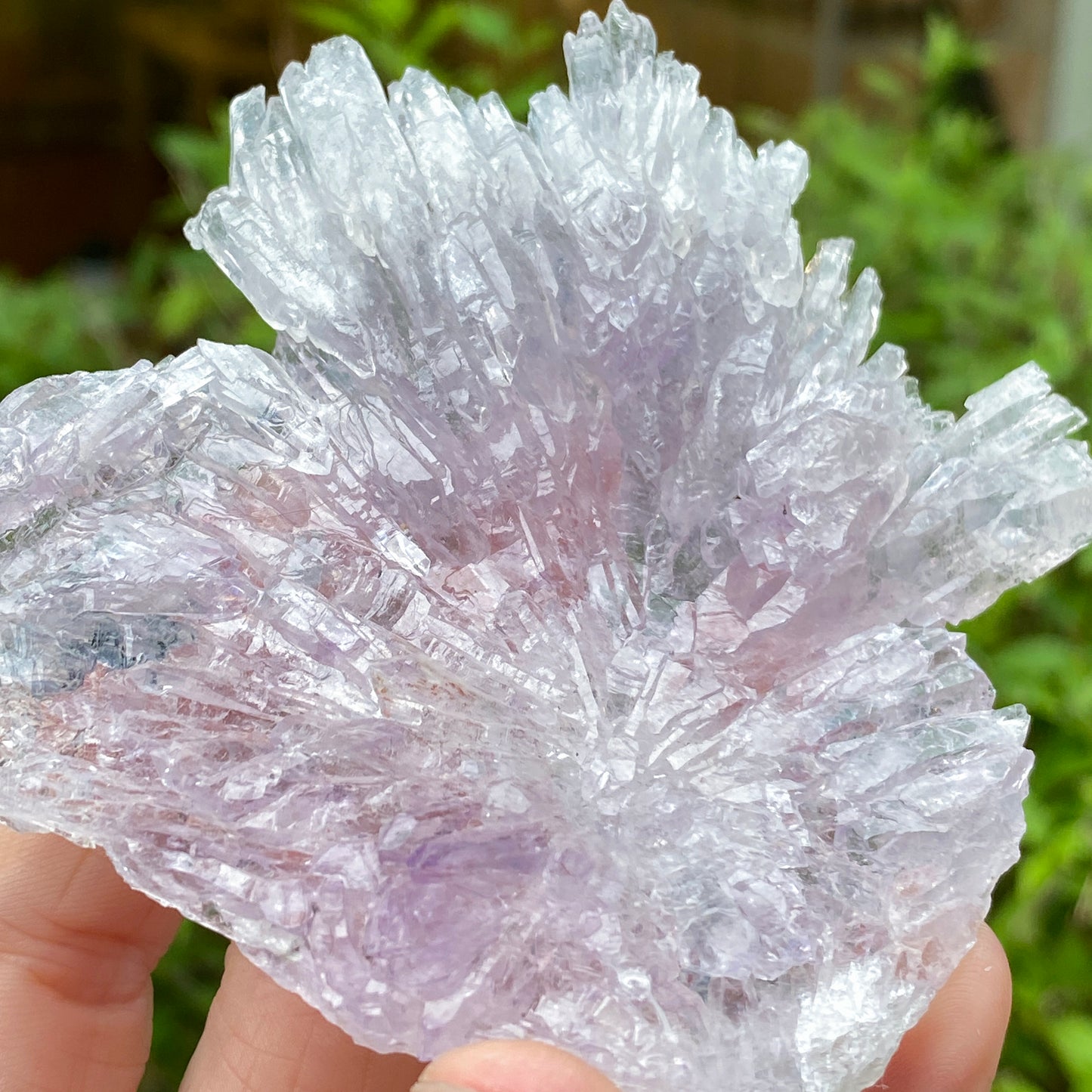 Rose Amethyst, Rio do Sol