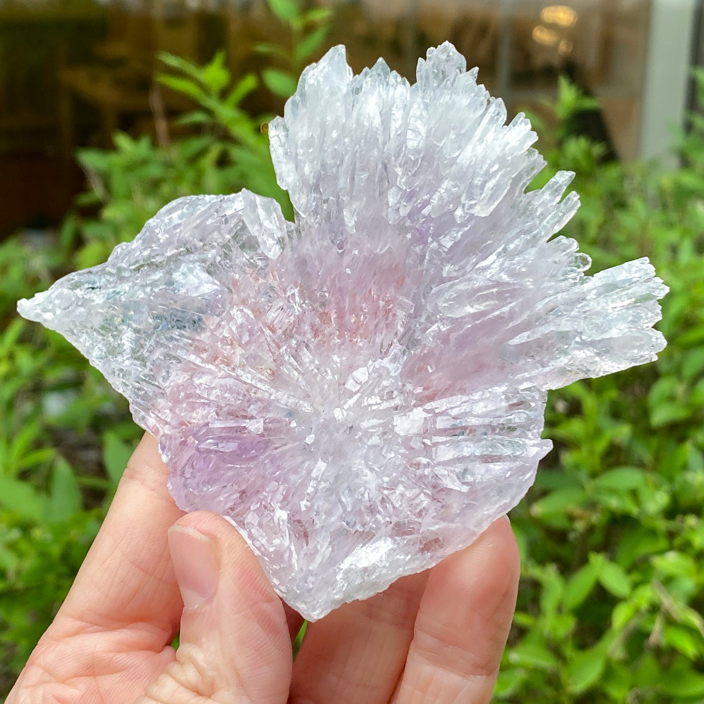 Rose Amethyst, Rio do Sol