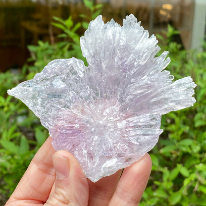 Rose Amethyst, Rio do Sol
