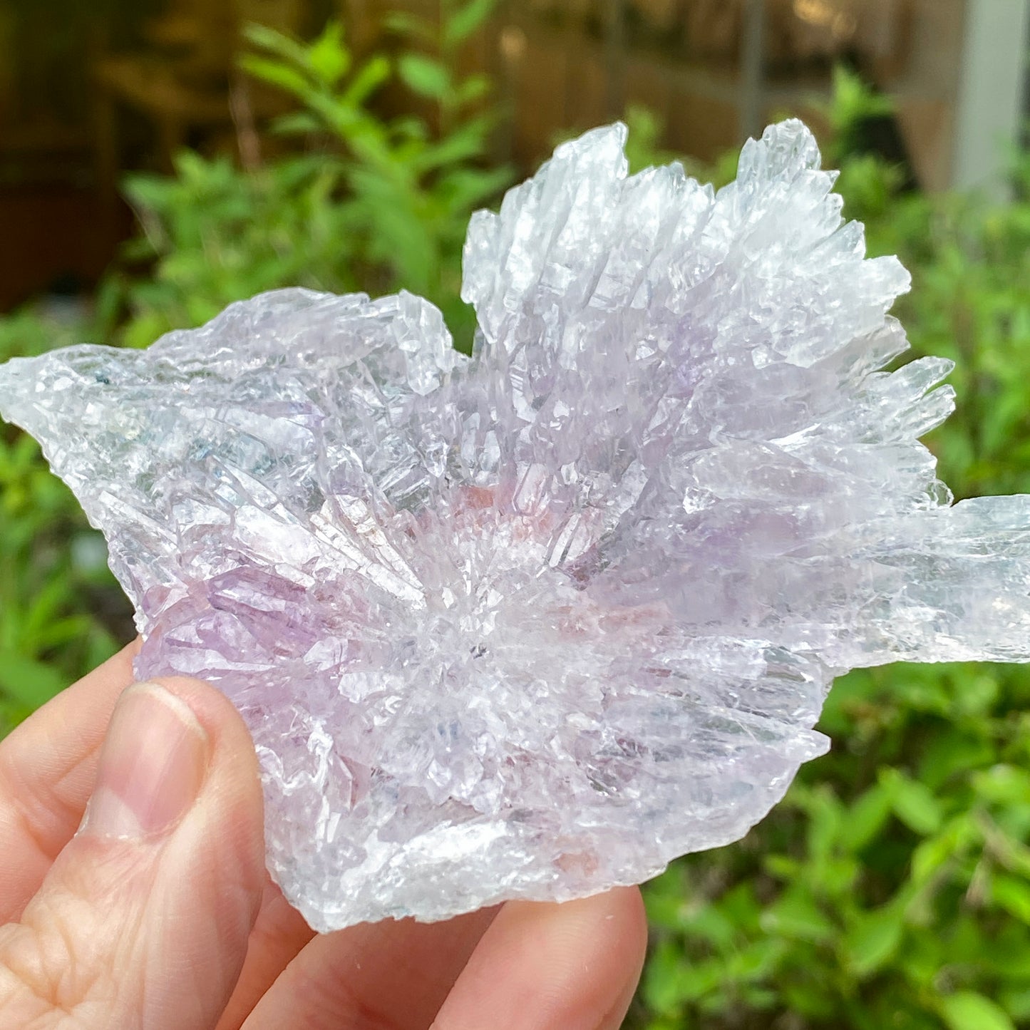Rose Amethyst, Rio do Sol