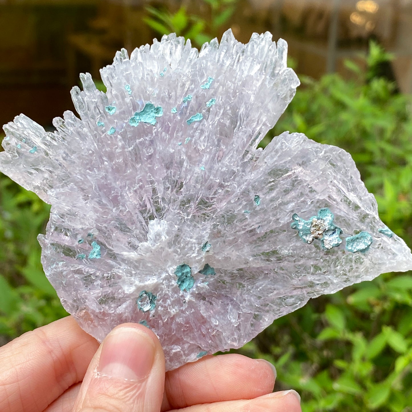 Rose Amethyst, Rio do Sol