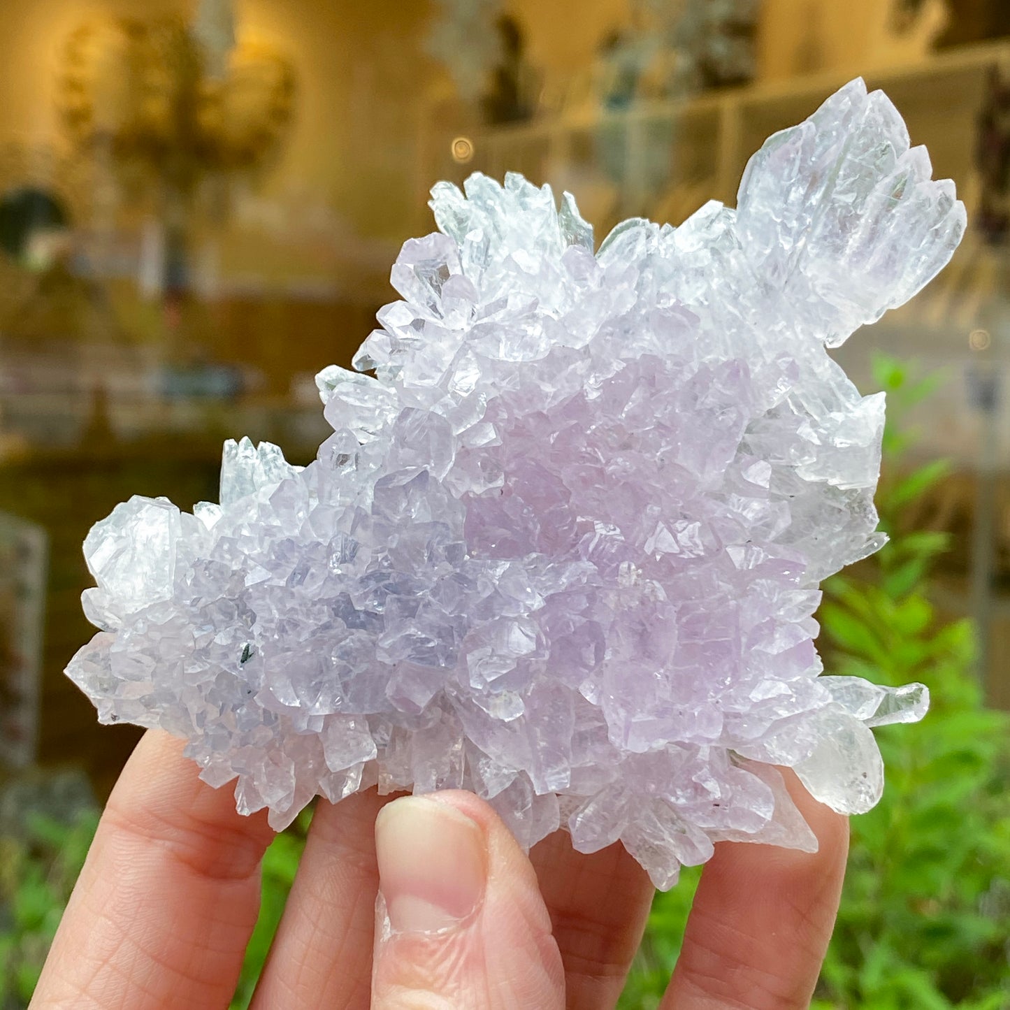 Rose Amethyst, Rio do Sol
