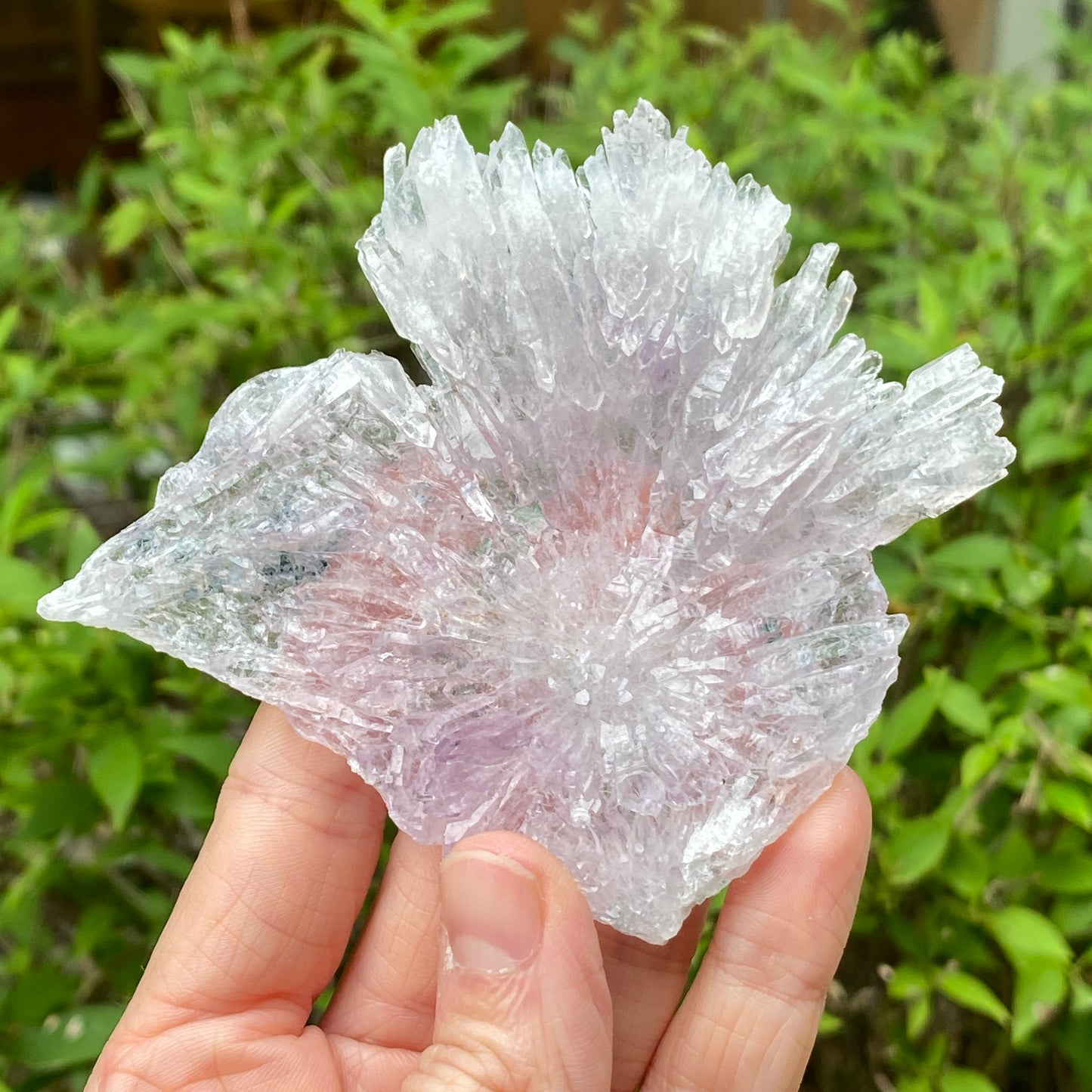Rose Amethyst, Rio do Sol