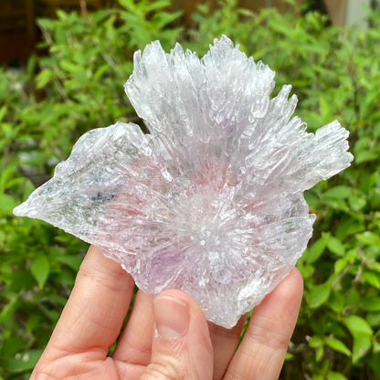 Rose Amethyst, Rio do Sol