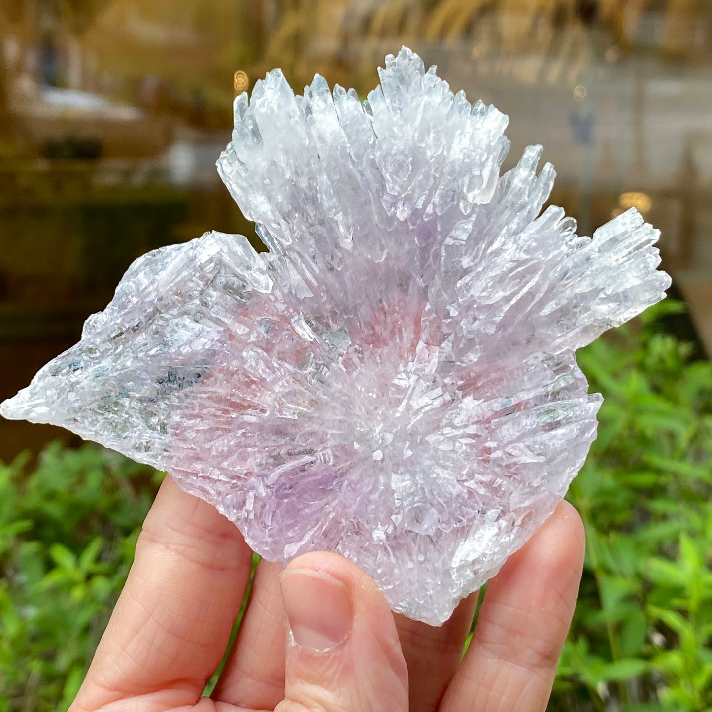 Rose Amethyst, Rio do Sol